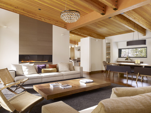 modern contemporary living room 8