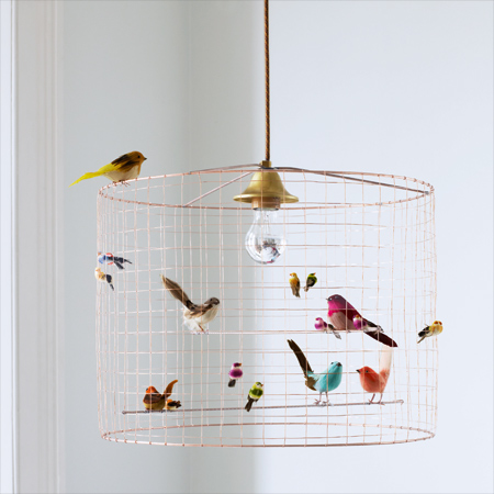 Birds in Home Decoration 9