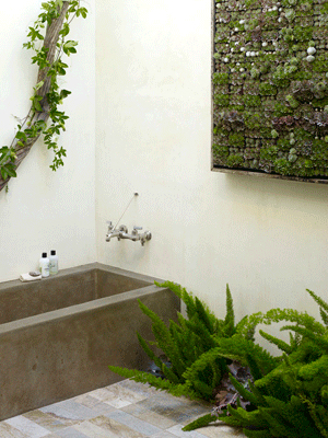 Bathroom with Plants 