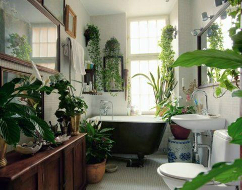 Bathroom with Plants 12