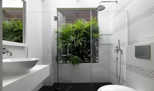 Bathroom with Plants 10