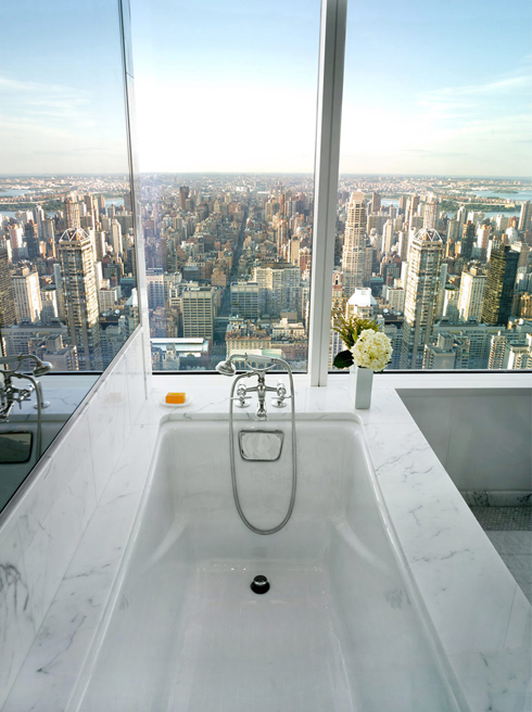 bathroom with a view photographed by Adrian Wilson