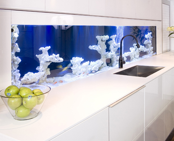 aquarium in kitchen idea
