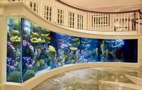 entry aquarium