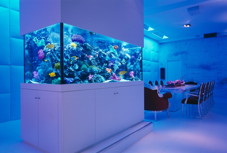 room 3 decorating ideas with aquarium