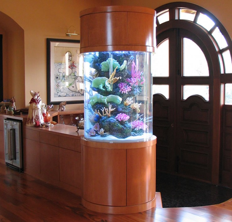 room 6 decorating ideas with aquarium