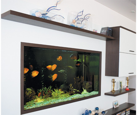 room 7 decorating ideas with aquarium