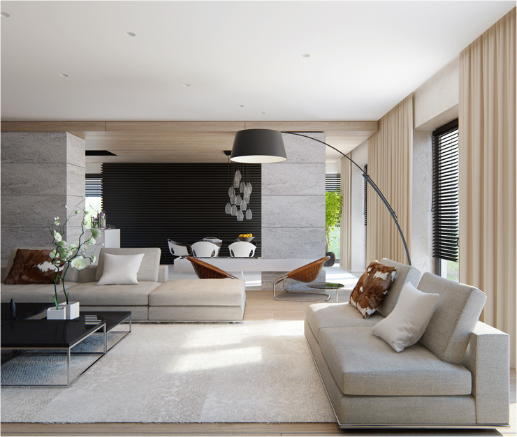 Contemporary Living Room Designs by Fedorova11