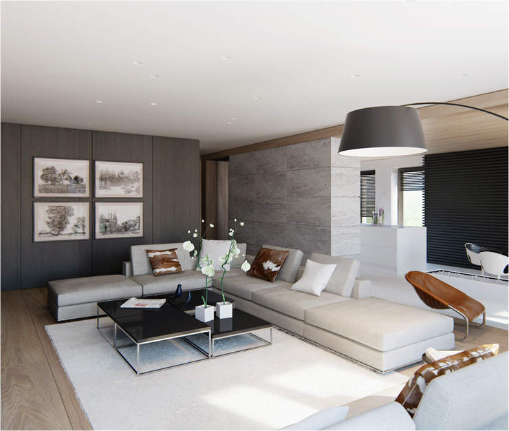 Contemporary Living Room Designs by Fedorova12