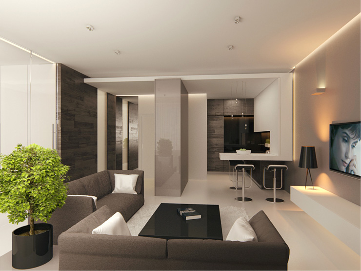 Contemporary Living Room Designs by Fedorova30