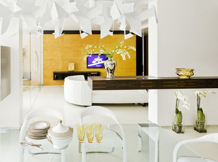 Contemporary Living Room Designs by Fedorova50