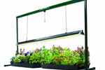 Hydrofarm_Grow_Lights_System