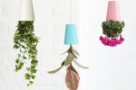 sky planter
