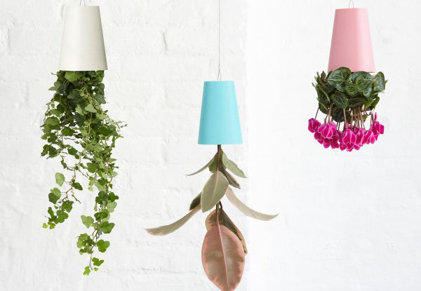 sky planter