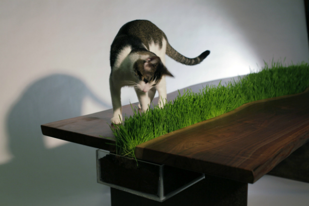 Eco Planter Table by Emily Wettstein 4