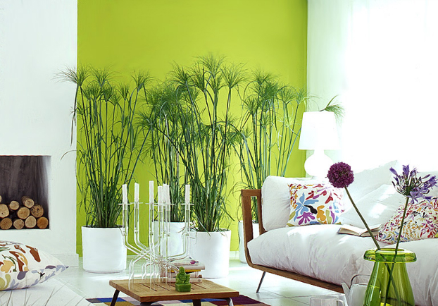 bold-lime-green-color-living-room-decorating-idea