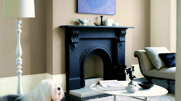 black Fireplace Color Ideas 