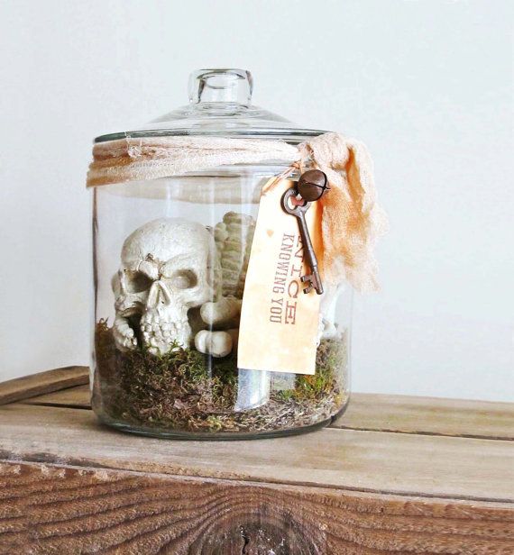 Bones – Skeleton In Apothecary Jar