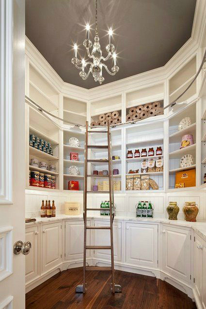 kitchen Pantry with beautiful built-in cabinetry and cool ladder