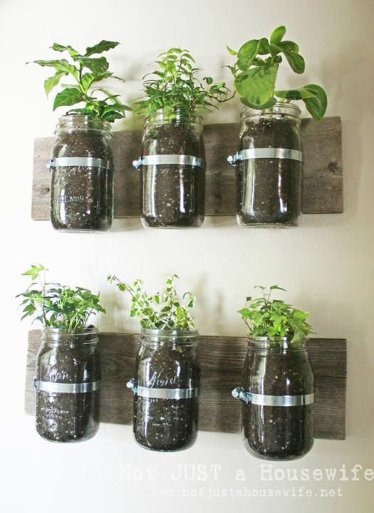 kitchen decorating ideas with herbs 23