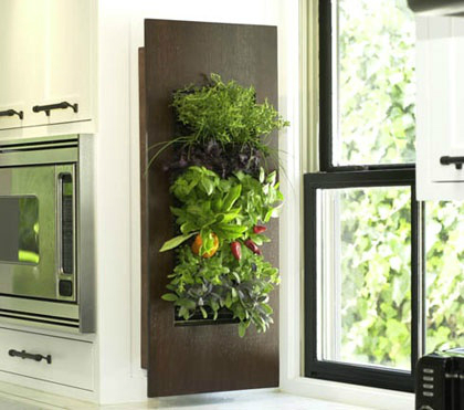 kitchen decorating ideas with herbs 24