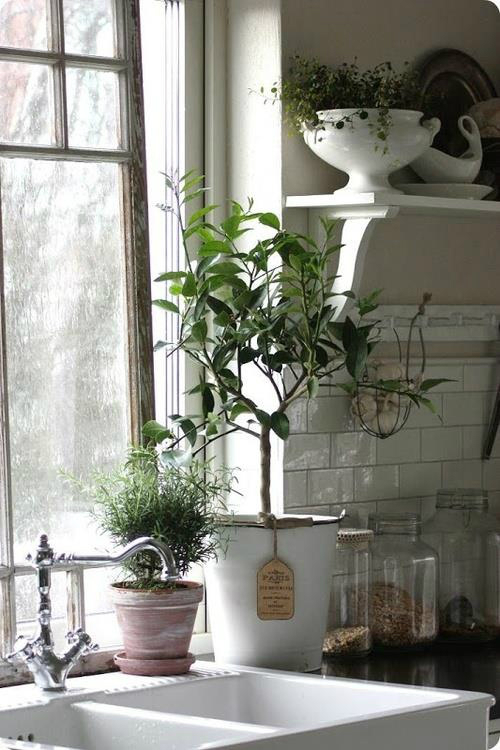 kitchen decorating ideas with herbs 27