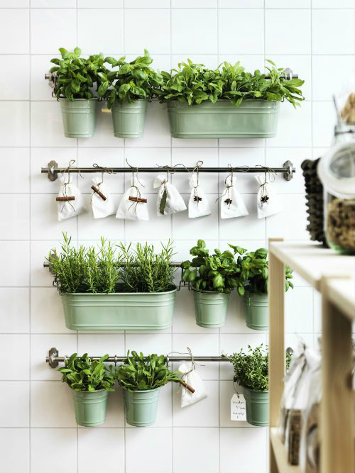 kitchen decorating ideas with herbs 39