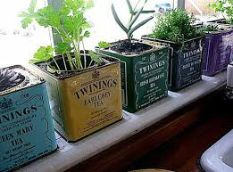 kitchen decorating ideas with herbs 5