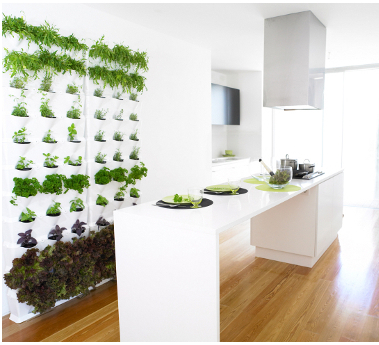 kitchen decorating ideas with herbs 46