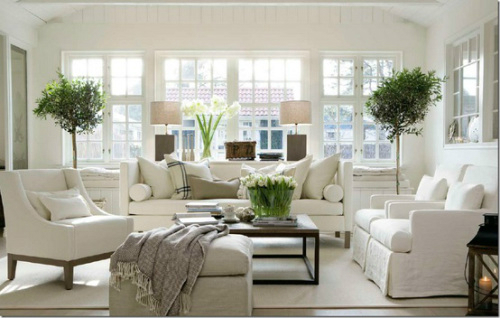 White Living Room Ideas 14