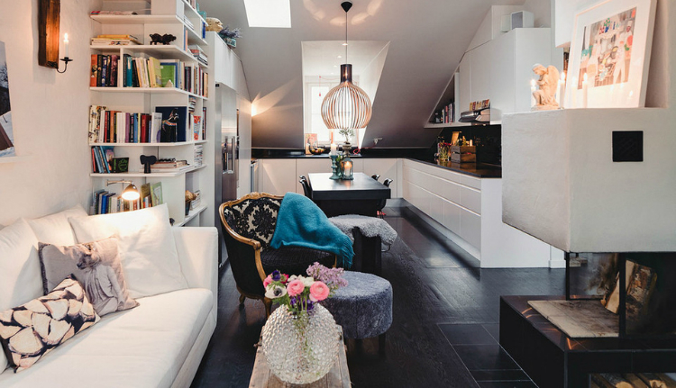 Modest Elegant Scandinavian Loft interior 