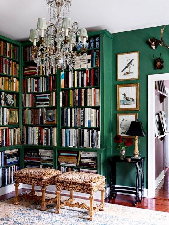 Emerald Green Bookshelves