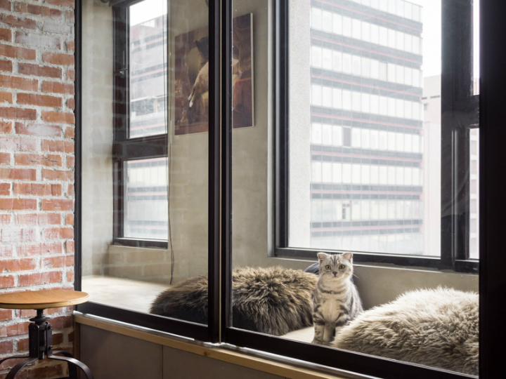 industrial cat friendly loft interior design 9