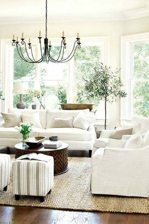 transitional white bright lightful living room