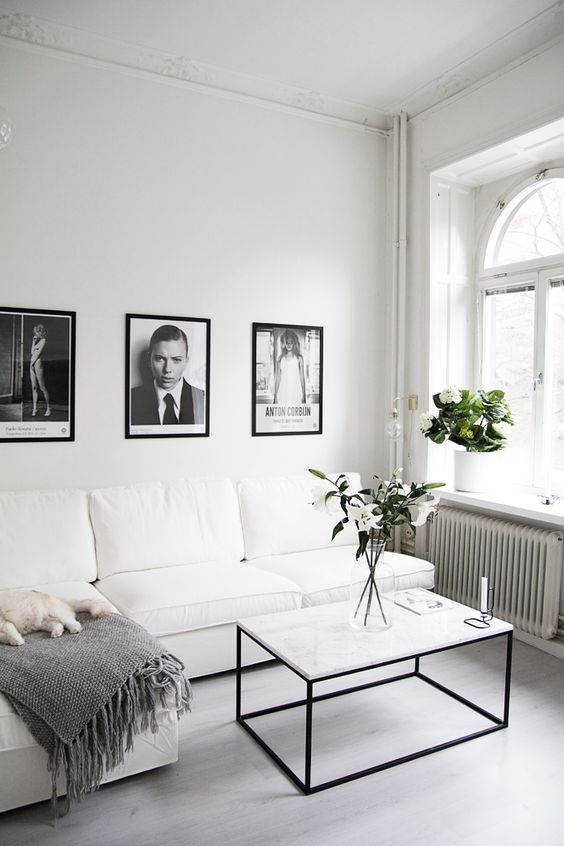Black and White Living Room Idea 46