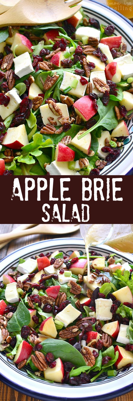 Most Pinned Salad Recipe on Pinterest 16