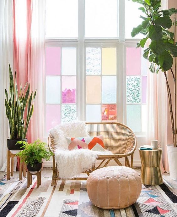 colourful decor with house plants