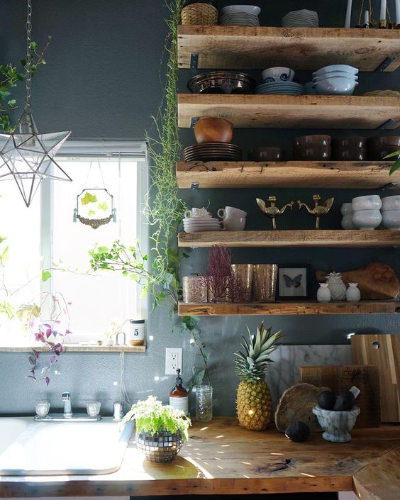 indoor plants decor idea 21