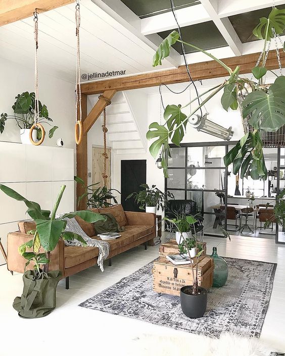 indoor plants decor idea 6