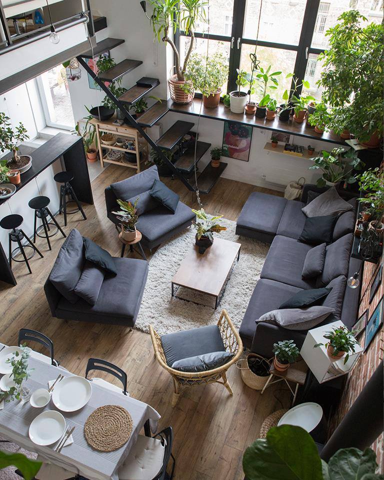 indoor plants decor idea 