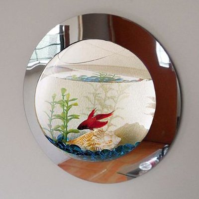 Wall Mounted fish bowl