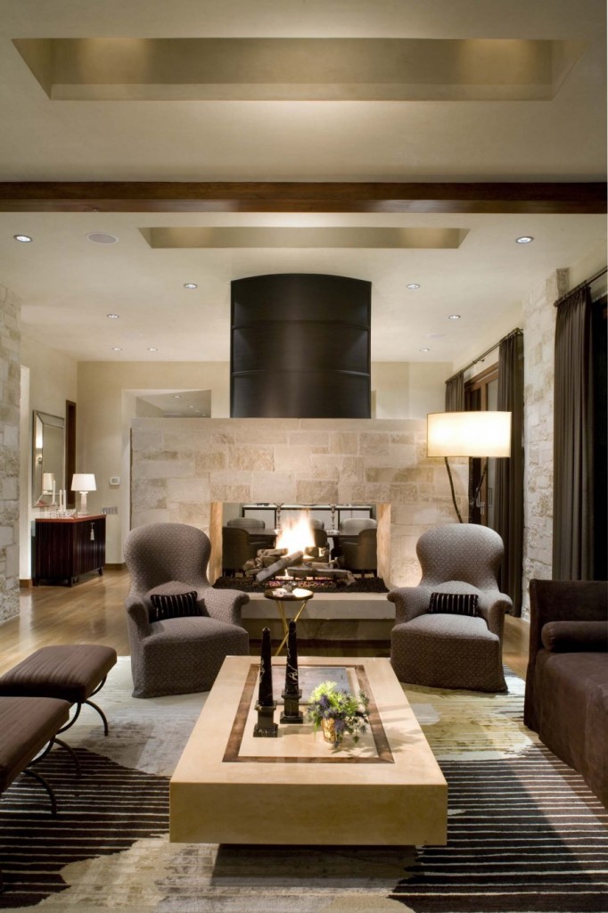 earth contemporary living room design
