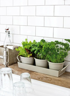 kitchen decorating ideas with herbs 21