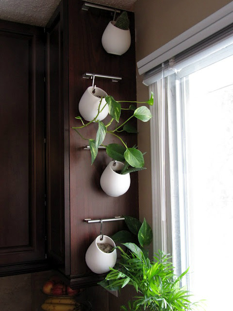 kitchen decorating ideas with herbs 38