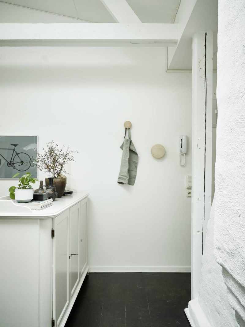 Scandinavian sophisticated small apartment interior 12