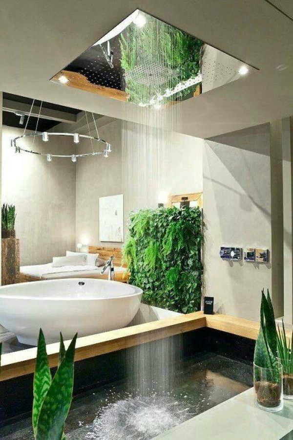 indoor plants used in bathroom