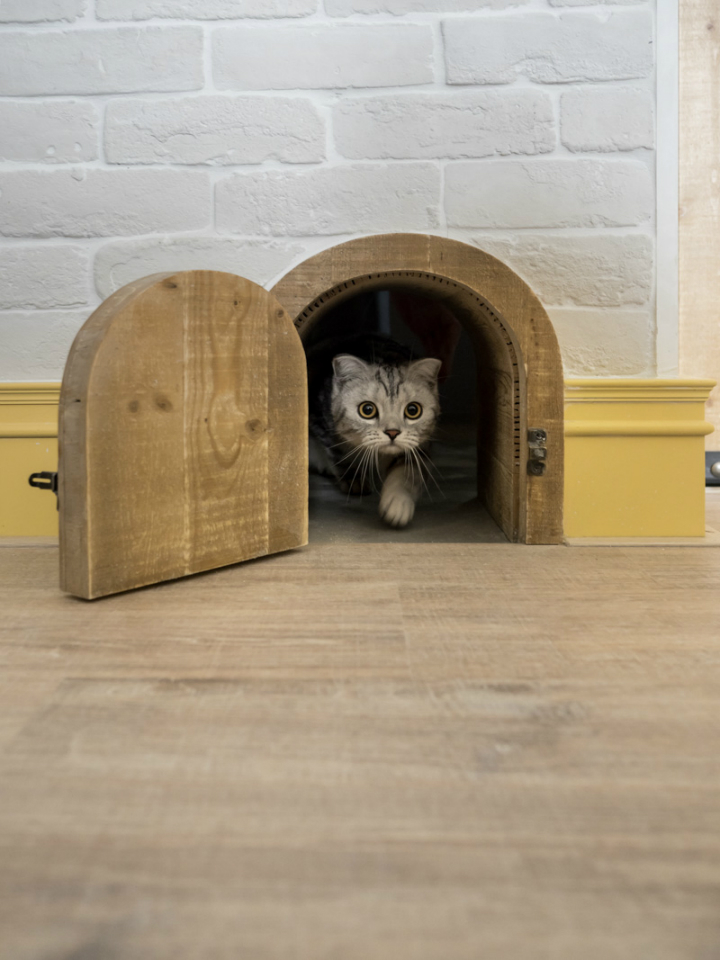 industrial cat friendly loft interior design 24