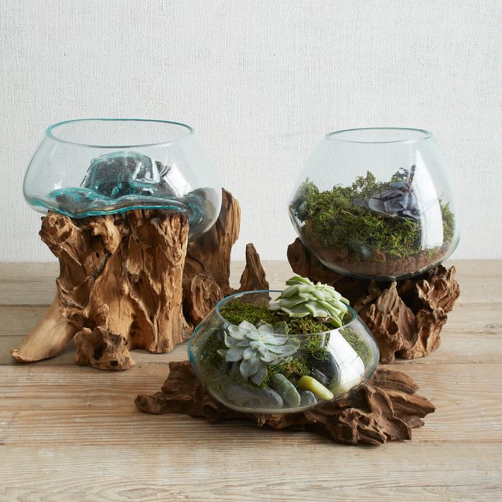 handcrafted wood and glass terrariums 