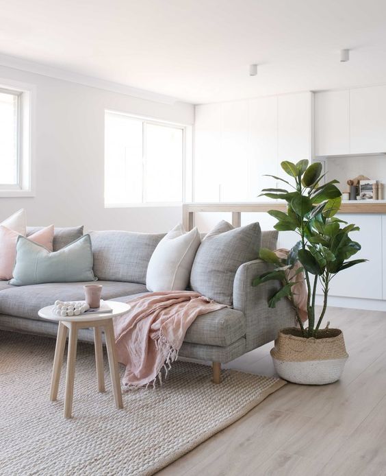 light grey sofa and an indoor plant