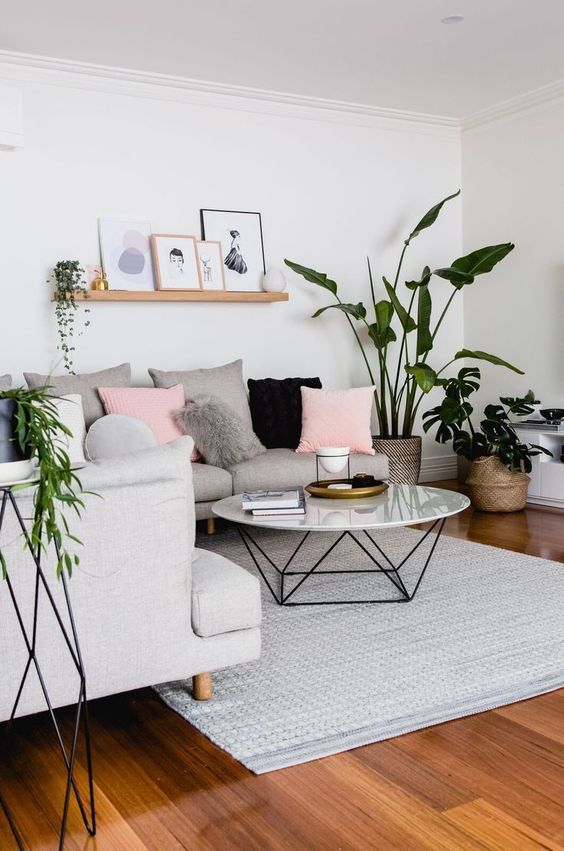 white walls and indoor plants